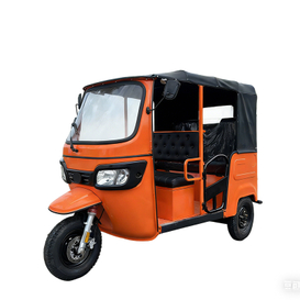 Triciclo eléctrico de pasajeros